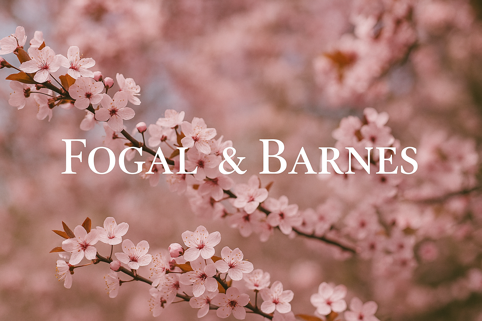 Fogal and Barnes Jewellers speak of proposals in Harrogate, engagement rings