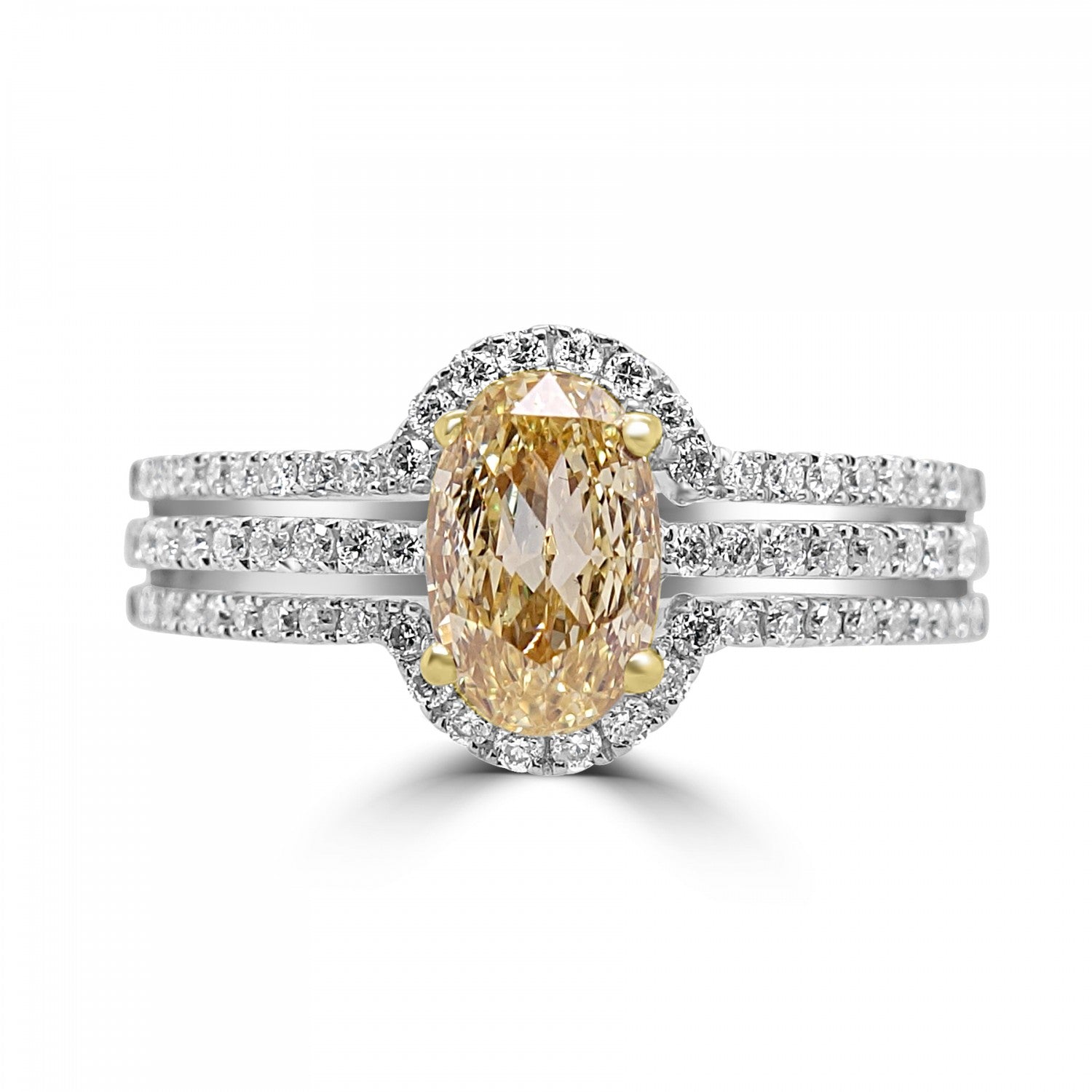 Oval cut Fancy Yellow Diamond with diamond halo and diamond bands Engagement Ring Harrogate Fogal and Barnes Fin Jewellers