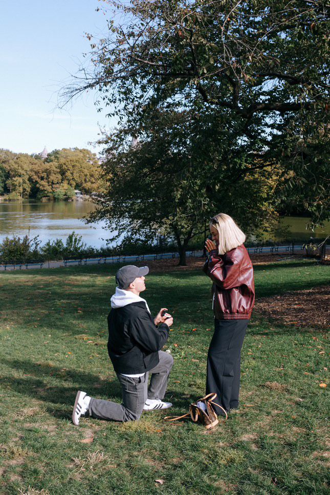Proposal Ideas in Harrogate, engagement rings and diamond bridal jewellers shop 