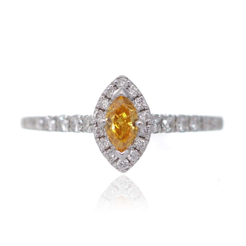 Fancy yellow diamond marquise cut diamond halo engagement ring  white gold Harrogate jewellers Fogal and barnes 